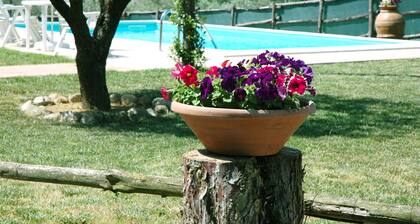 L'ULIVO: huoneisto maalaistalossa Umbrian keskustassa 15 minuutin päässä Assisista