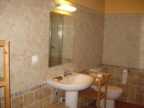 Hair dryer, towels, soap, toilet paper - Casa Las Eras for 2 people (Navaluenga)