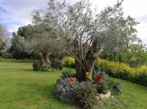 Parco della struttura