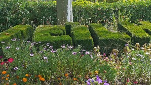 Un jardin agrémenté de différentes sortes de fleurs et de haies taillées avec soin.