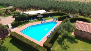 A rectangular swimming pool with a tiled deck, surrounded by well-manicured hedges and a few lounge chairs.