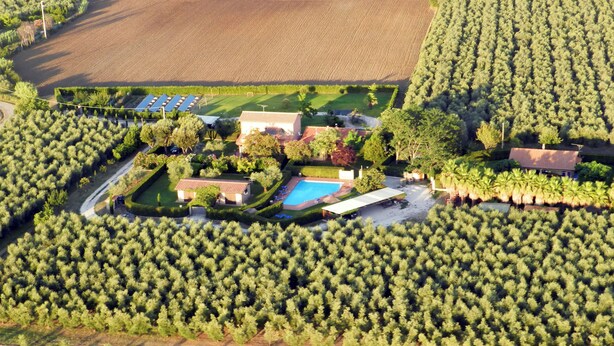 An aerial view of a property with a swimming pool, multiple buildings, and a dense forest surrounding it.