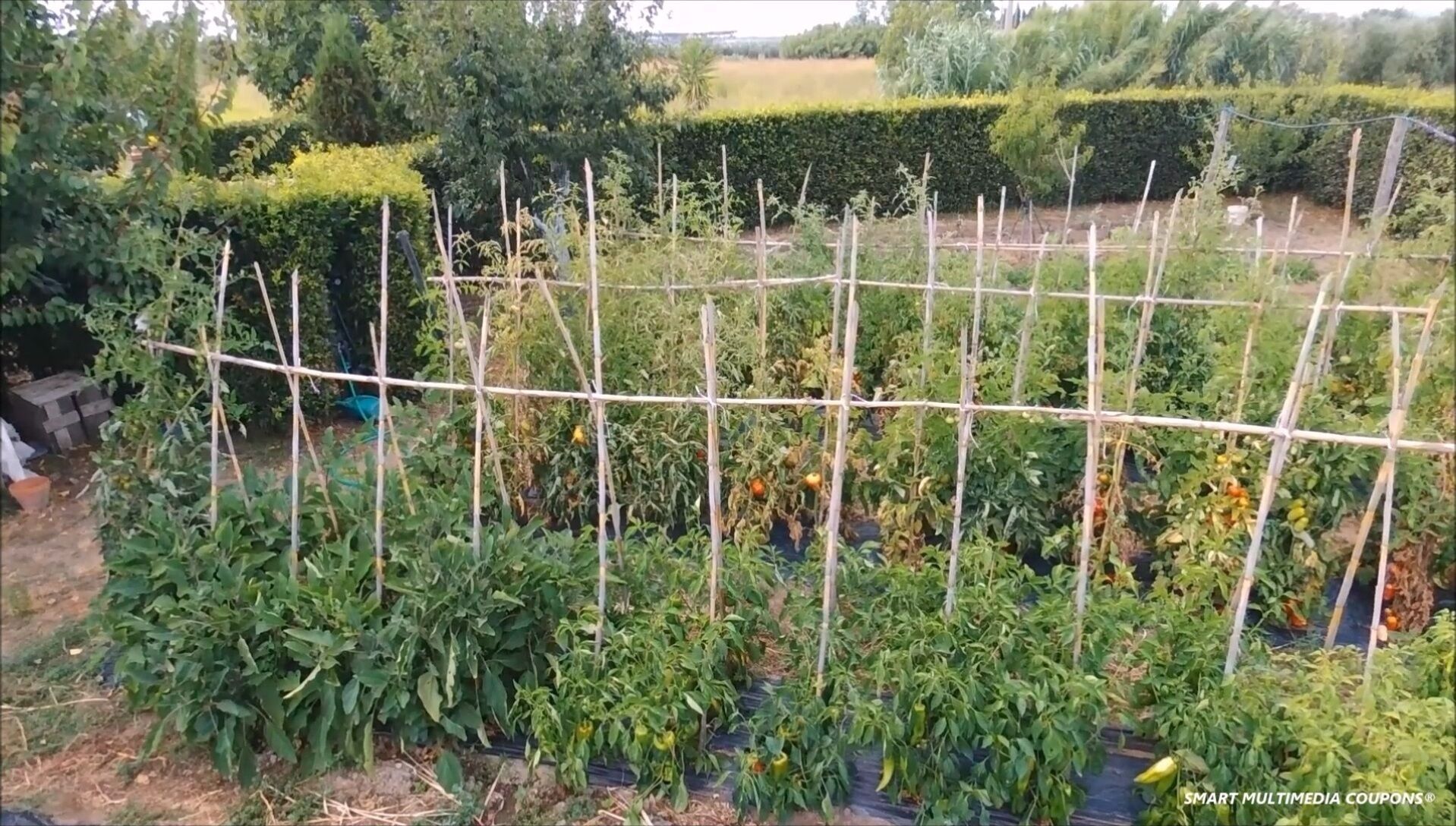 Áreas de la propiedad