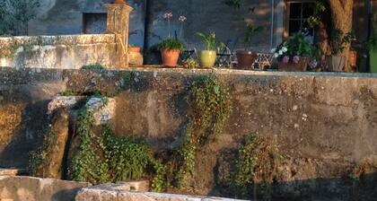 B&b Guest House "Domaine le Clos du Pavillon" Provence