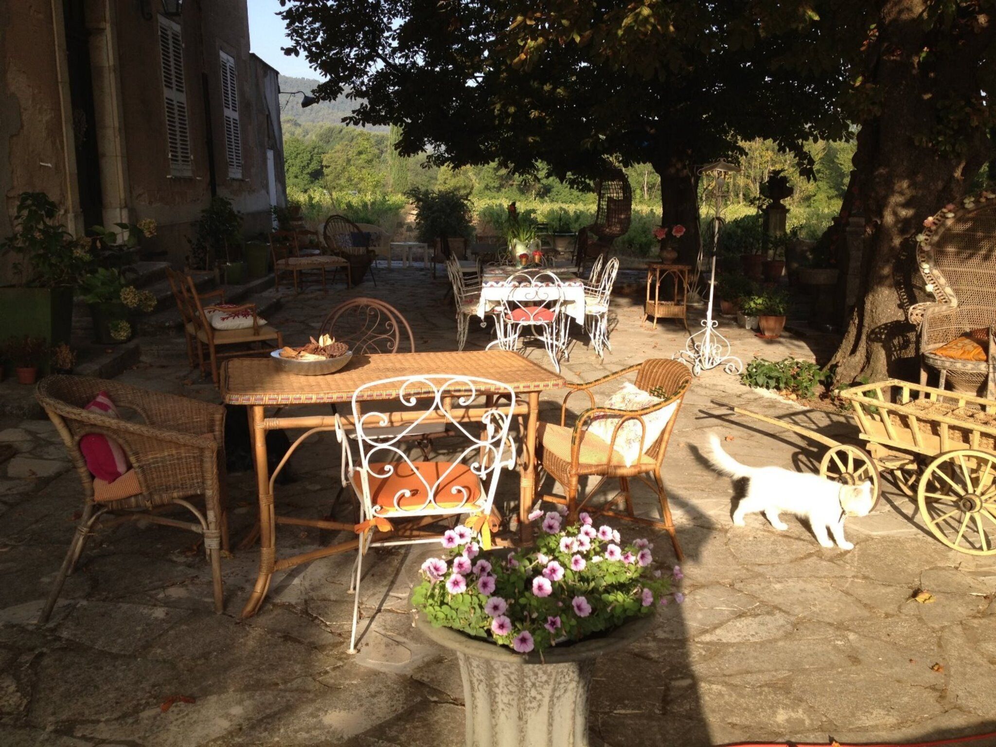 Restauration extérieure