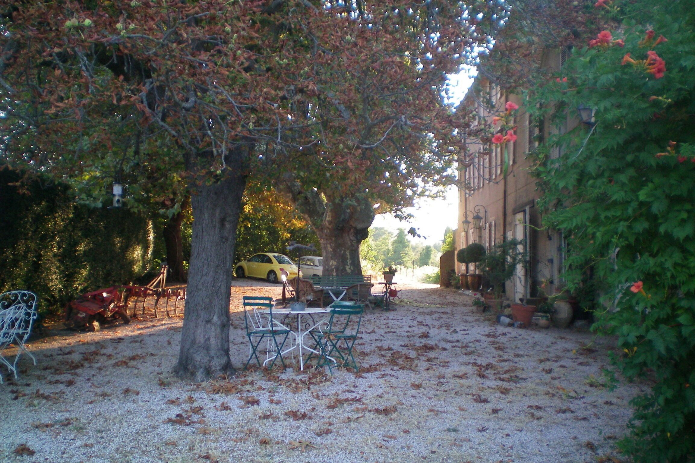 Restaurante al aire libre