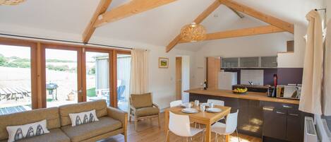 Smart TV, DVD player, books