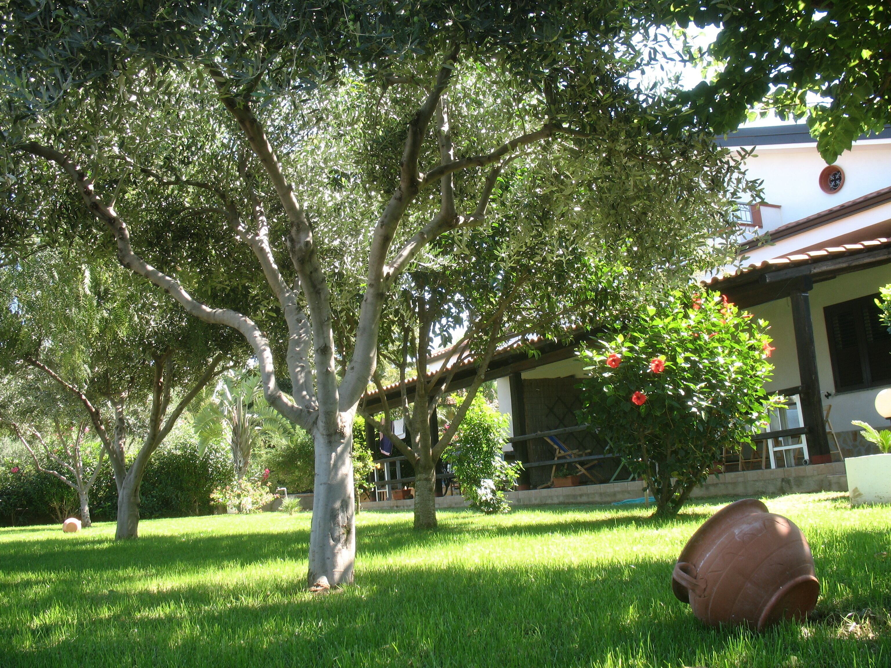 Parco della struttura