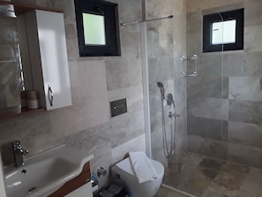 Combined shower/tub, bidet