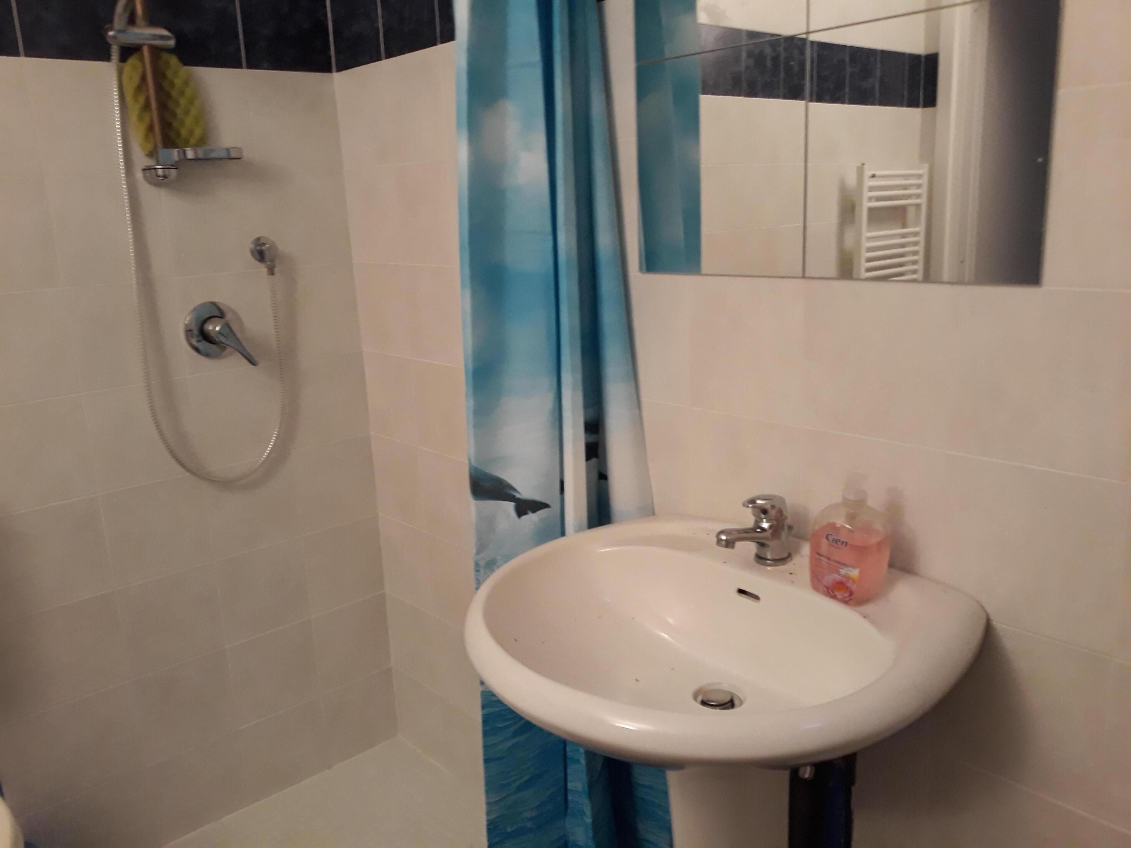 Een badkamer met douche, wastafel en spiegel.