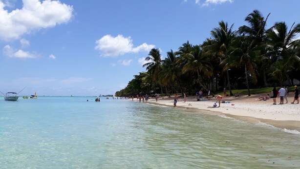 Ein Strand mit klarem türkisblauem Wasser, Palmen und Menschen, die die Sonne genießen.