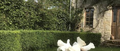 Détail de l’extérieur