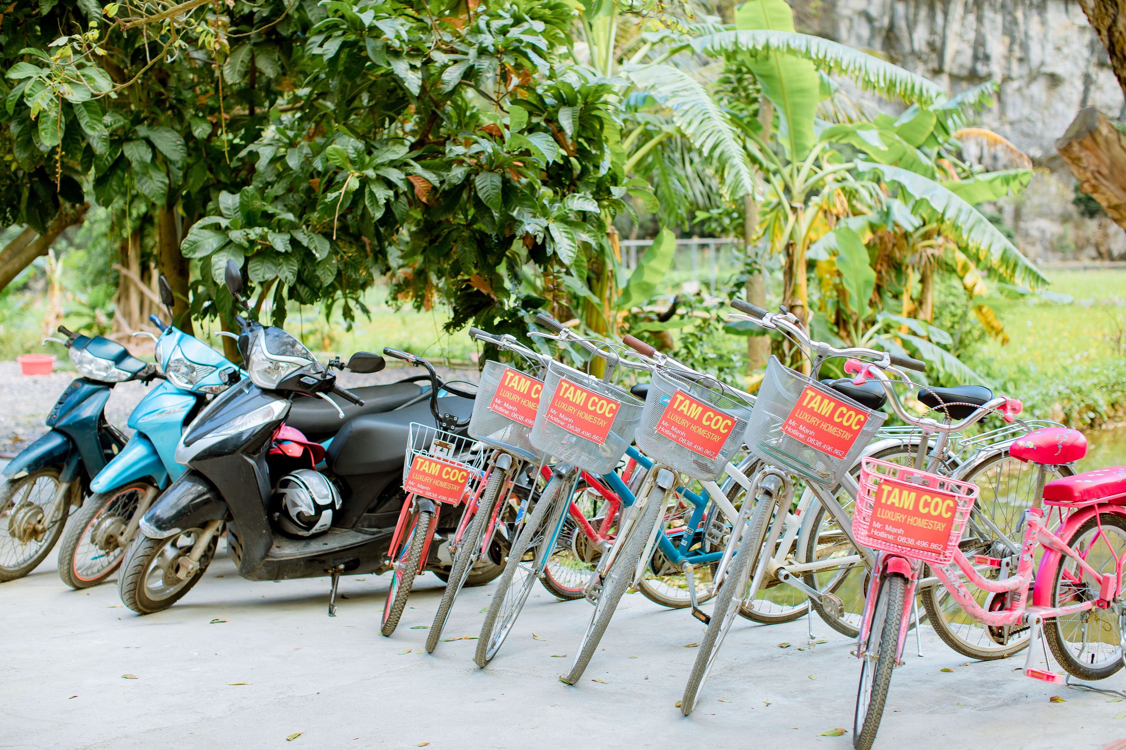 A row of bicycles with attached baskets, parked in a line.