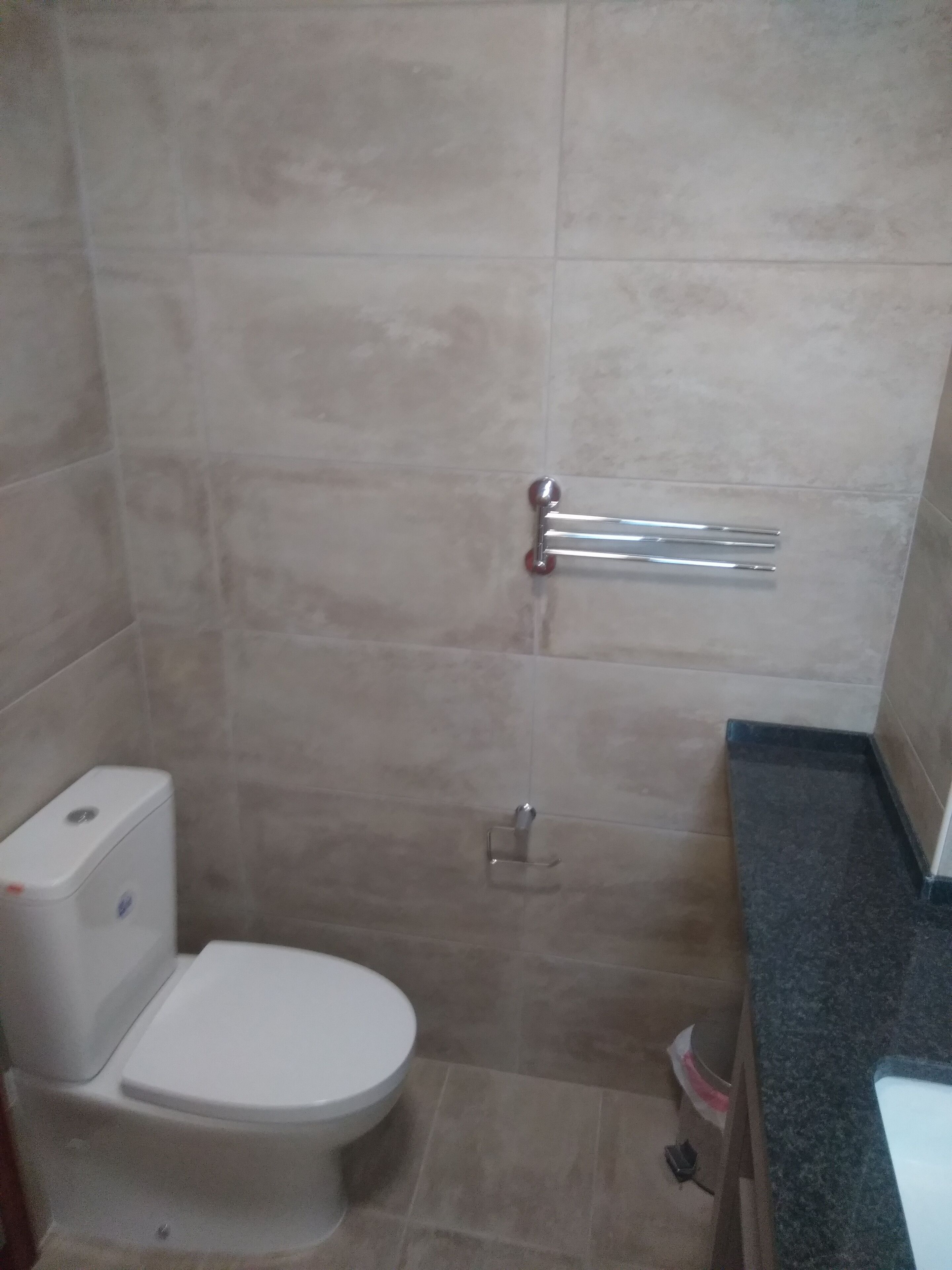 Een badkamer met een toilet, een handdroger en een handdoekhouder.