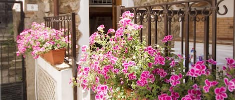 Detalle del exterior