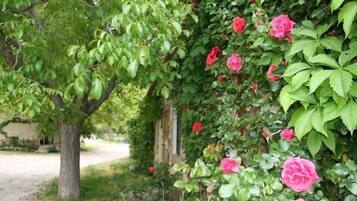 Details aan de buitenkant