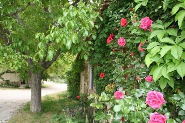 Exterior detail - Self catering cottage Los Enebros for 4 people (Nerpio)