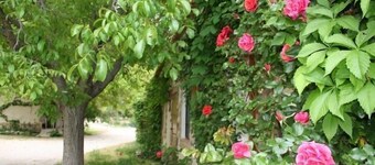 Rural house in Nerpio with 2 rooms 