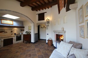 TV, fireplace, books