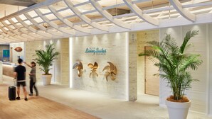 A modern hotel lobby with a wooden ceiling, a reception desk, and potted plants.
