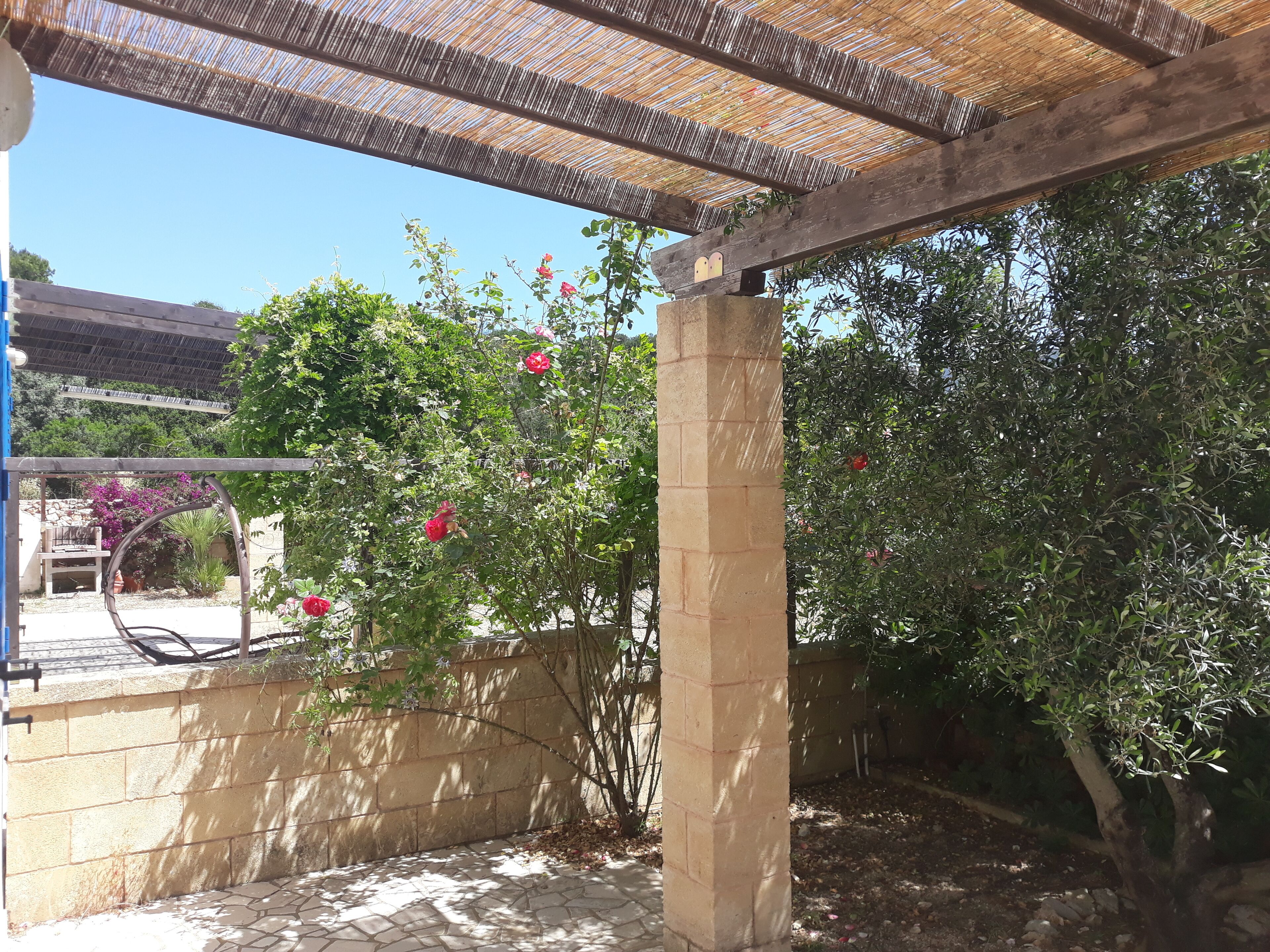 Parco della struttura