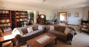 Smart TV, fireplace, books