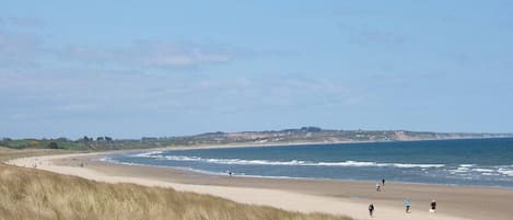 Una playa cerca
