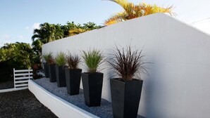 A modern outdoor area with a white wall and black planters containing various plants. - Bungalow Creole 'the Pipiris' (LE ROBERT)