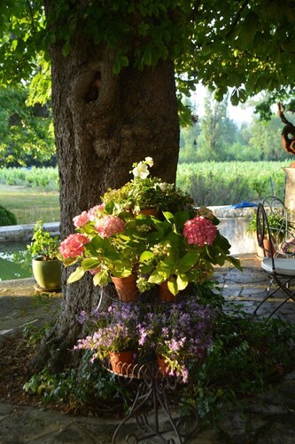 B&b Authentique Bastide typiquement Provençale