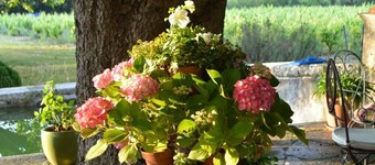 B&b Guest House "Domaine le Clos du Pavillon" Provence