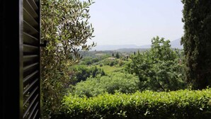 Une vue à travers une fenêtre, avec une haie au premier plan et un paysage composé d’arbres et de collines à l’arrière-plan.