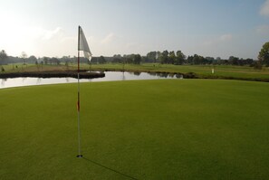 Golfe