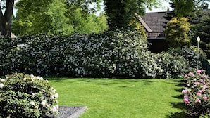 Een goed onderhouden tuin met diverse bloeiende planten en een strak gemaaid gazon.