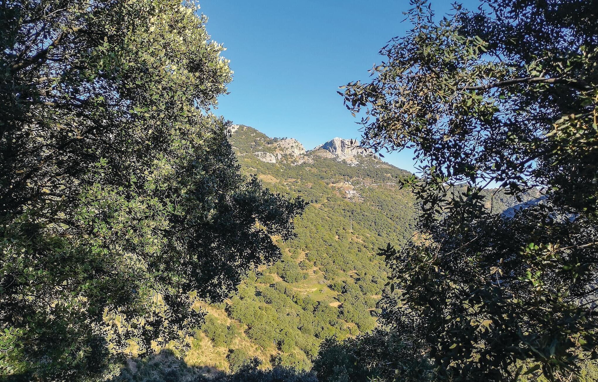 منوع