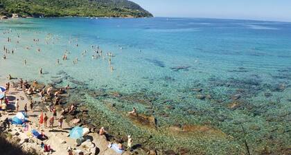Lovely apartment in Agropoli SA