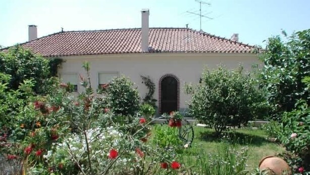 A house with a tiled roof, a garden with various plants and flowers, and a visible chimney. - Caetano Rustic House - West of Portugal (Chã da Laranjeira)