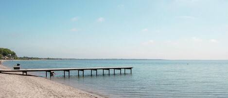 ビーチの近く、釣り