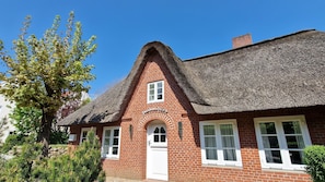 Udendørsområde