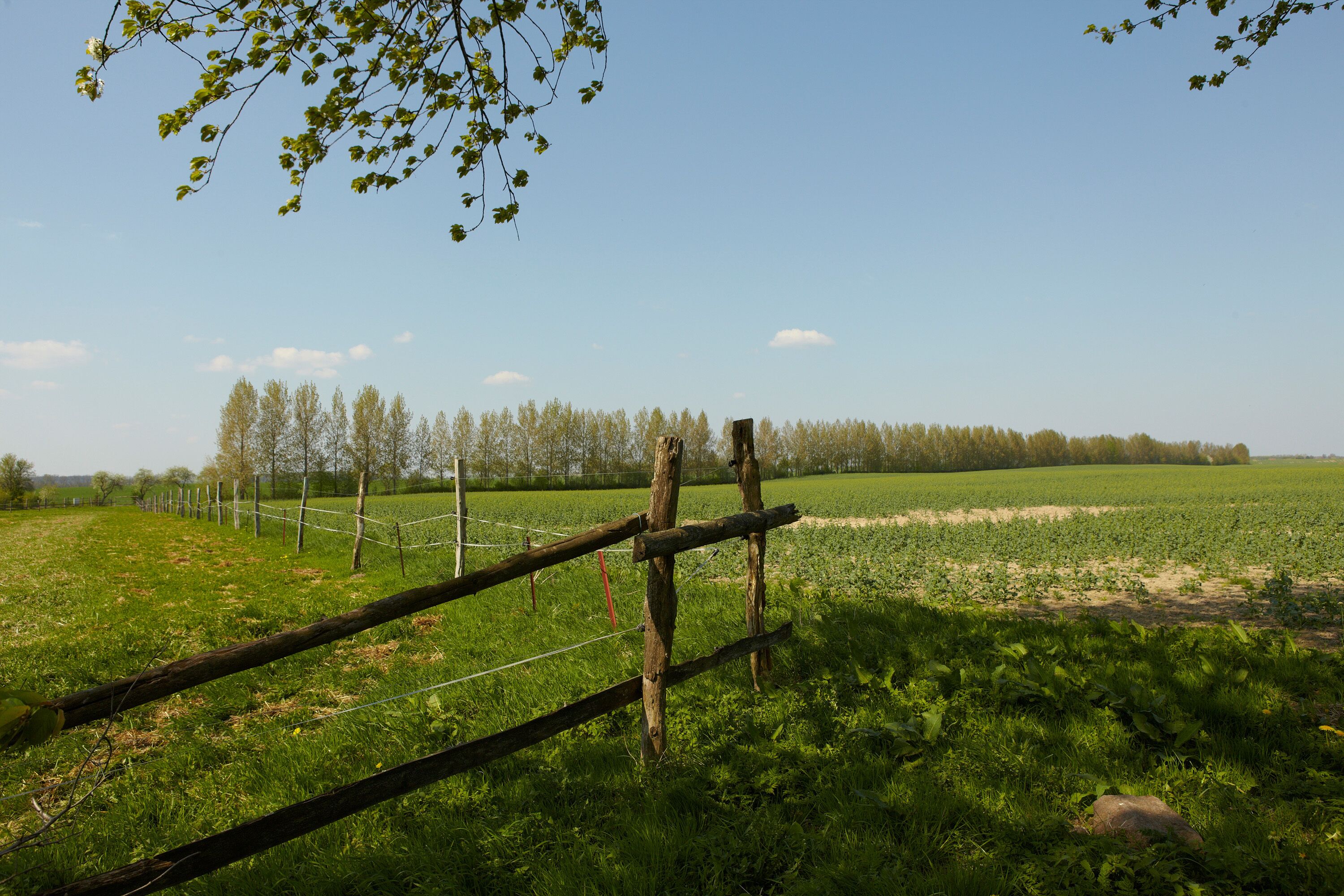 Een landelijk landschap met een houten omheining, een veld en bomen op de achtergrond.