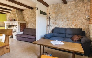 TV, fireplace, table tennis