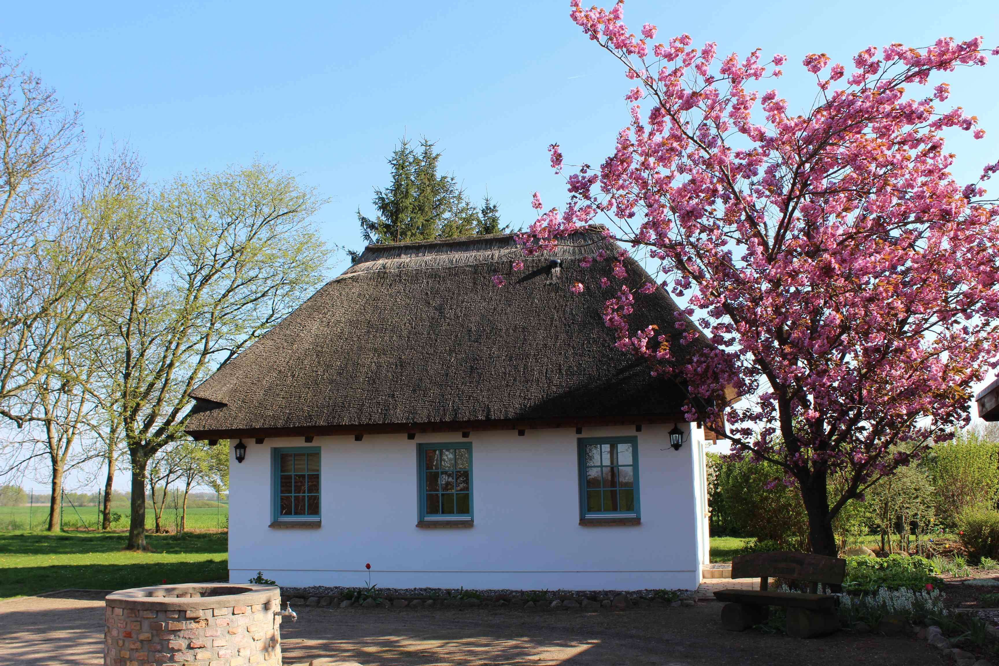 Recreation in the country in the guesthouse Upatel