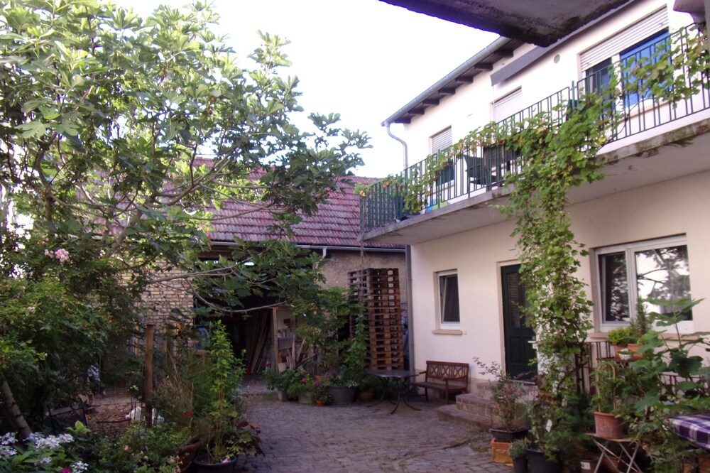 Apartment to the courtyard