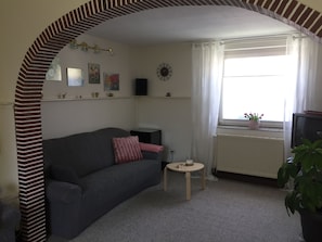 TV, fireplace, books, stereo