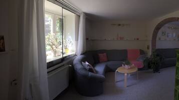 Tv, eldstad, böcker och en stereo