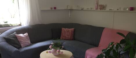 A cozy living room with a dark grey sofa, a small round table with a vase of flowers, and a pink blanket draped over the sofa.