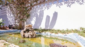 Une piscine avec une formation rocheuse et une tortue.