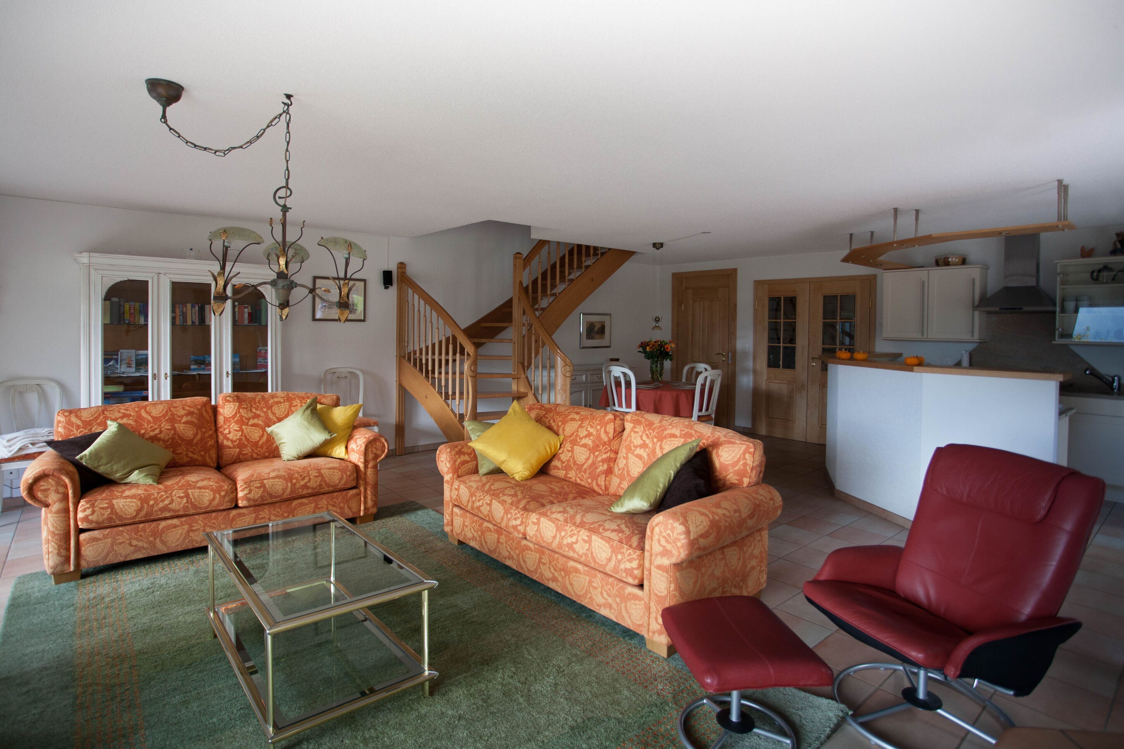 TV, fireplace, DVD player, books