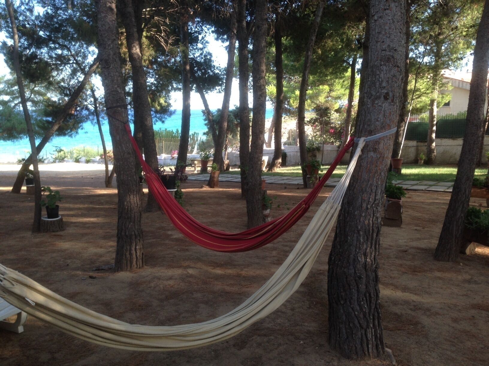 Parco della struttura