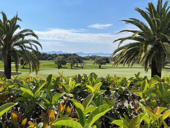 Un campo de golf con palmeras y vegetación exuberante.