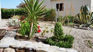 Un giardino con diverse piante, un vialetto in pietra e un edificio sullo sfondo.